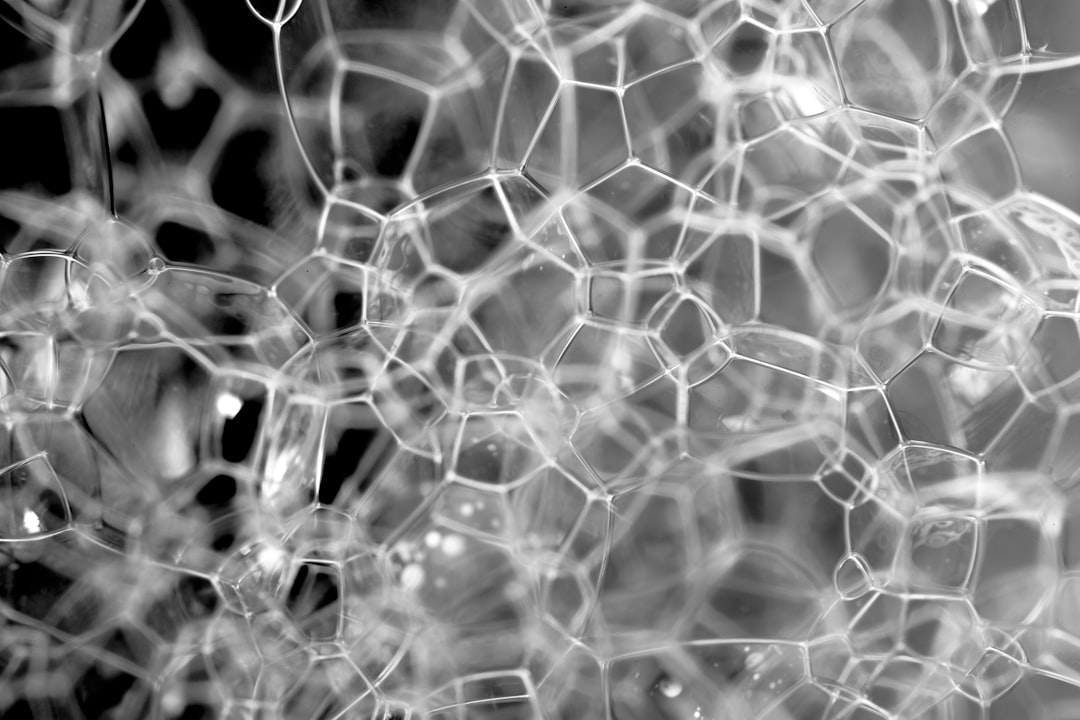 Green Office Cleaning in Sydney Photo office cleaning